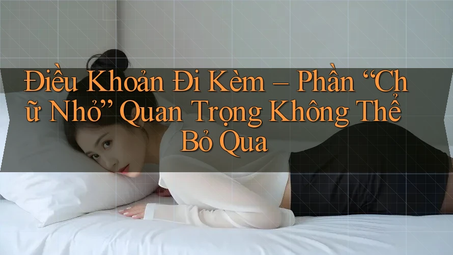 Điều Khoản Đi Kèm – Phần “Chữ Nhỏ” Quan Trọng Không Thể Bỏ Qua Điều Khoản Đi Kèm – Phần “Chữ Nhỏ” Quan Trọng Không Thể Bỏ Qua