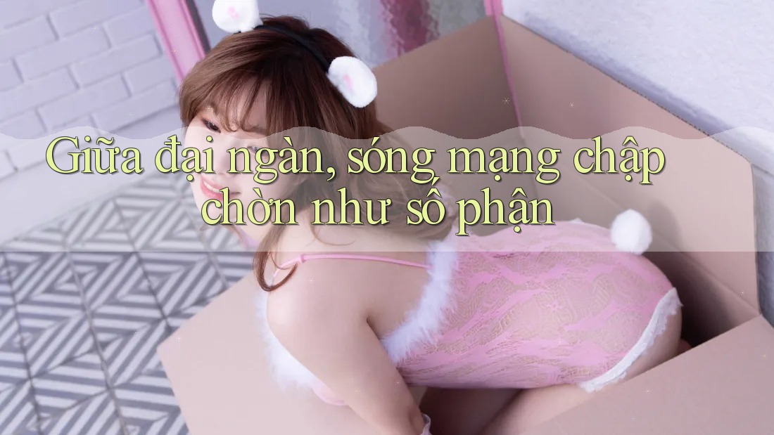 Giữa đại ngàn, sóng mạng chập chờn như số phận Giữa đại ngàn, sóng mạng chập chờn như số phận
