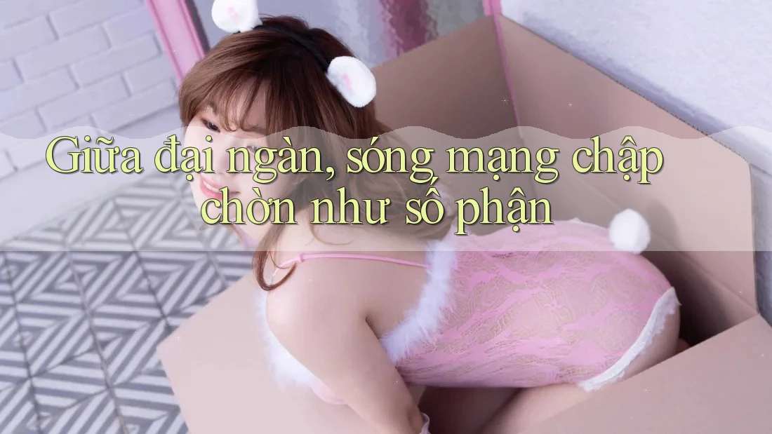 Giữa đại ngàn, sóng mạng chập chờn như số phận Giữa đại ngàn, sóng mạng chập chờn như số phận