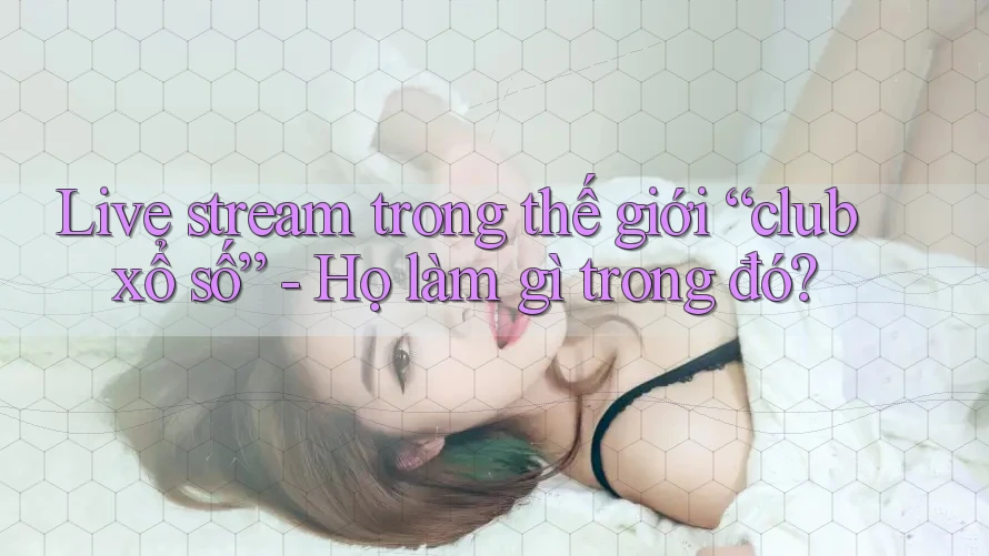 Live stream trong thế giới “club xổ số” - Họ làm gì trong đó?