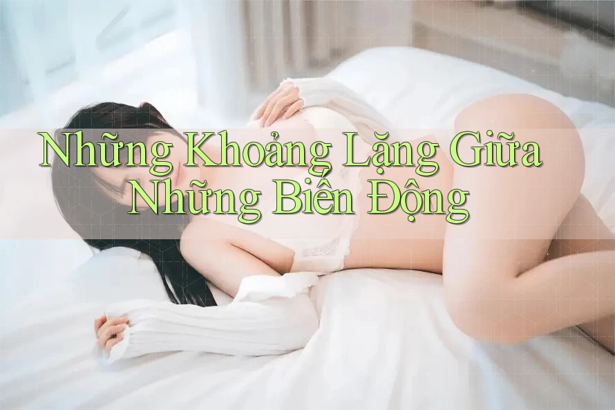 Những Khoảng Lặng Giữa Những Biến Động Những Khoảng Lặng Giữa Những Biến Động