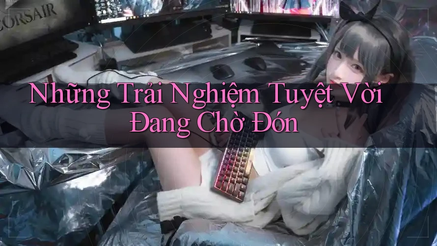 Những Trải Nghiệm Tuyệt Vời Đang Chờ Đón