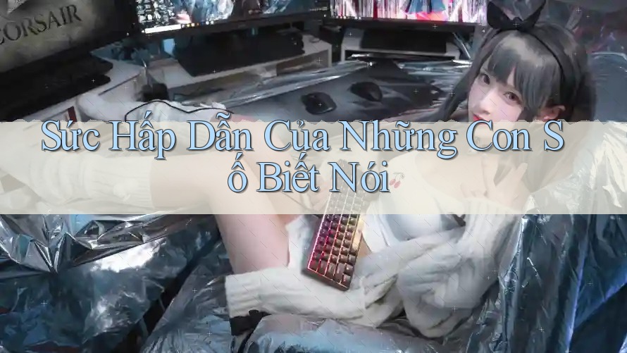 Sức hấp dẫn của những con số biết nói Sức hấp dẫn của những con số biết nói