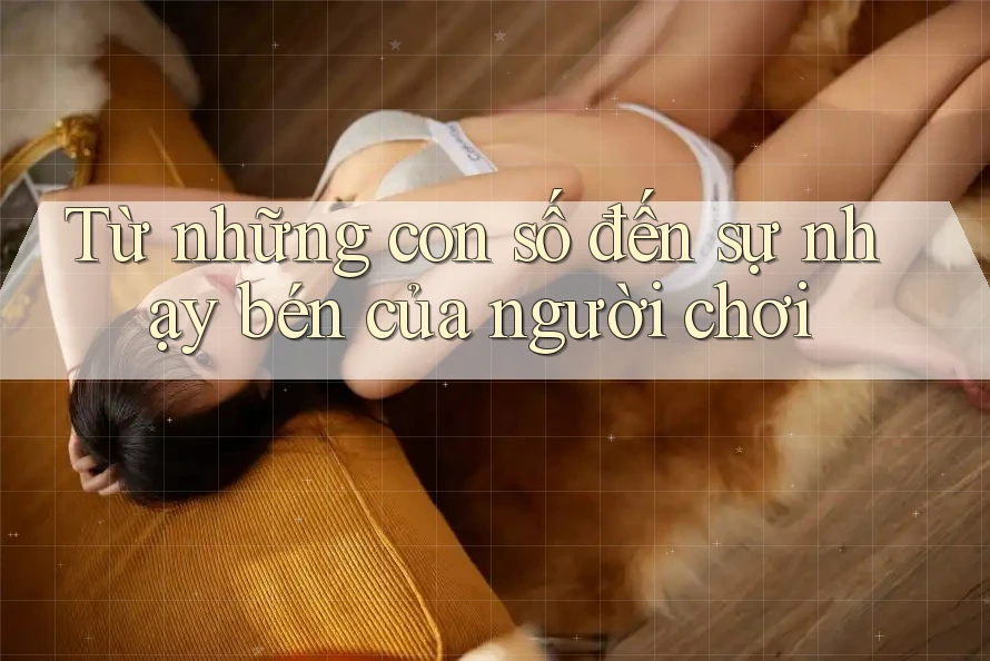 Từ những con số đến sự nhạy bén của người chơi Từ những con số đến sự nhạy bén của người chơi